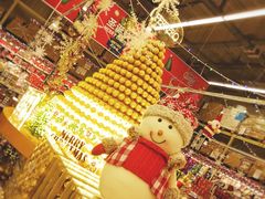 -麦德龙(郑东店)