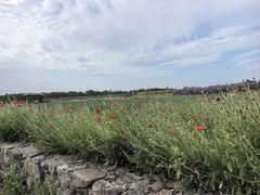 -江苏三台山国家森林公园