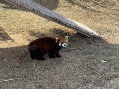 -水上乐园·欢乐世界