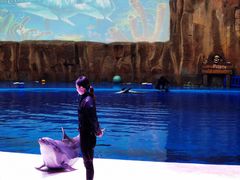 -华夏文旅海洋公园