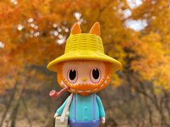 -金龙寺国家森林公园