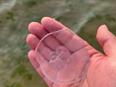 -威海国际海水浴场旅游区