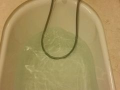 -北京园博大酒店