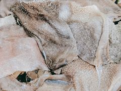 -铜元老码头鳝鱼火锅