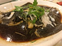 多宝鱼-碧海渔村(黄埔东路店)