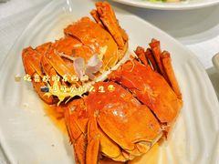 -新雅粤菜馆(南京东路店)