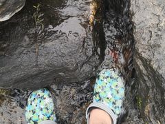 -白河湾生态旅游一条川