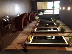 米几美发公社-MAGIC米几发型设计·羊毛卷