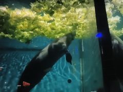 -泉城欧乐堡海洋极地世界