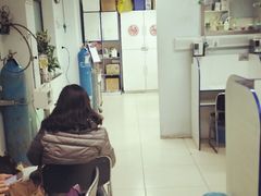 -北京观赏动物医院·24小时大型综合·猫专科·异宠专科