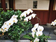 -灵隐飞来峰景区