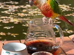 -三忘湖 SWANSEEN(柳荫公园店)