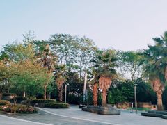 -棕榈MALL