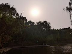 -石家庄市植物园