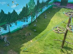 -西霞口神雕山野生动物世界