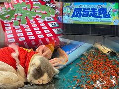 -凤城·食都