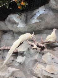 点击看大图 -Zoolung Zoolung动物主题公园(海信广场店)