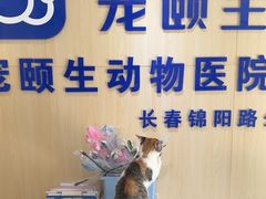 -宠颐生动物医院·心脏科·保险定点(锦阳分院)