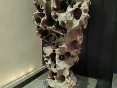 -单家老院·院子里的青岛菜(沙子口店)