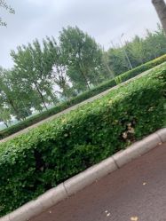 -HEYAN长风荷妍专业脱毛美肤
