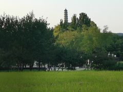 -北坞公园