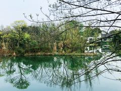 -西溪国家湿地公园