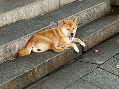 -衣裳街历史文化街区