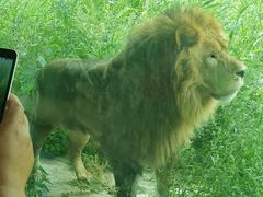 -新疆天山野生动物园