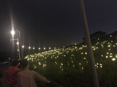 -CHOCHENG&CO.(欢乐海岸店)