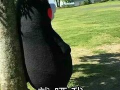 -刘胖子家常菜·蹄花焖藕(中南店)