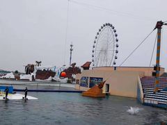 -秦皇岛乐岛海洋王国