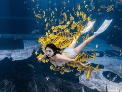 -三亚海昌梦幻海洋不夜城