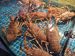 -驻海渔市(置信店)