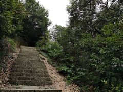 -杭州半山国家森林公园