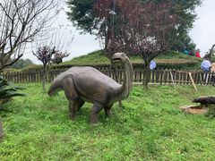 -自贡恐龙博物馆