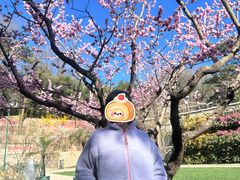-红螺寺