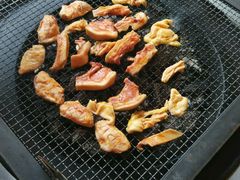 android_upload_pic-五彩凉山自助西昌烧烤(柳翠路店)