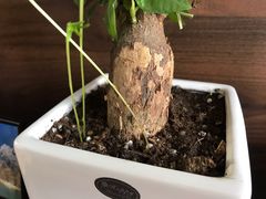 -饵块食光·云南有机手作饵块