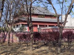 -古塔公园