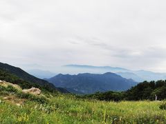 -白草畔自然风景区