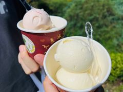 -东北农业大学饺子园