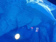 -上海海昌海洋公园-冰山北极馆
