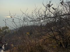 -涂山风景区
