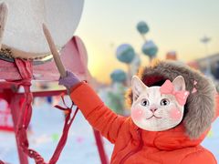 -沈阳奥体冰雪嘉年华