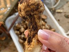 -蘑统田下·野生菌火锅