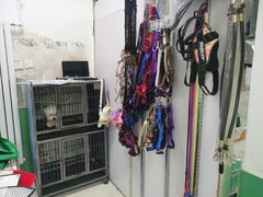 -利又安动物医院··老年病·猫科犬科·中兽医
