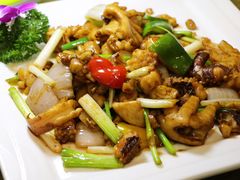 沙姜炒大墨鱼-瑞记湛江鸡饭店·粤西第一鸡(粤垦店)