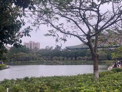 -厦门大学(思明校区)