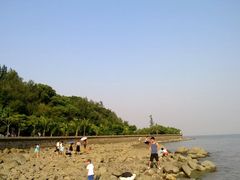 海边-野狸岛