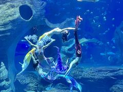 -多彩贵州城极地海洋世界